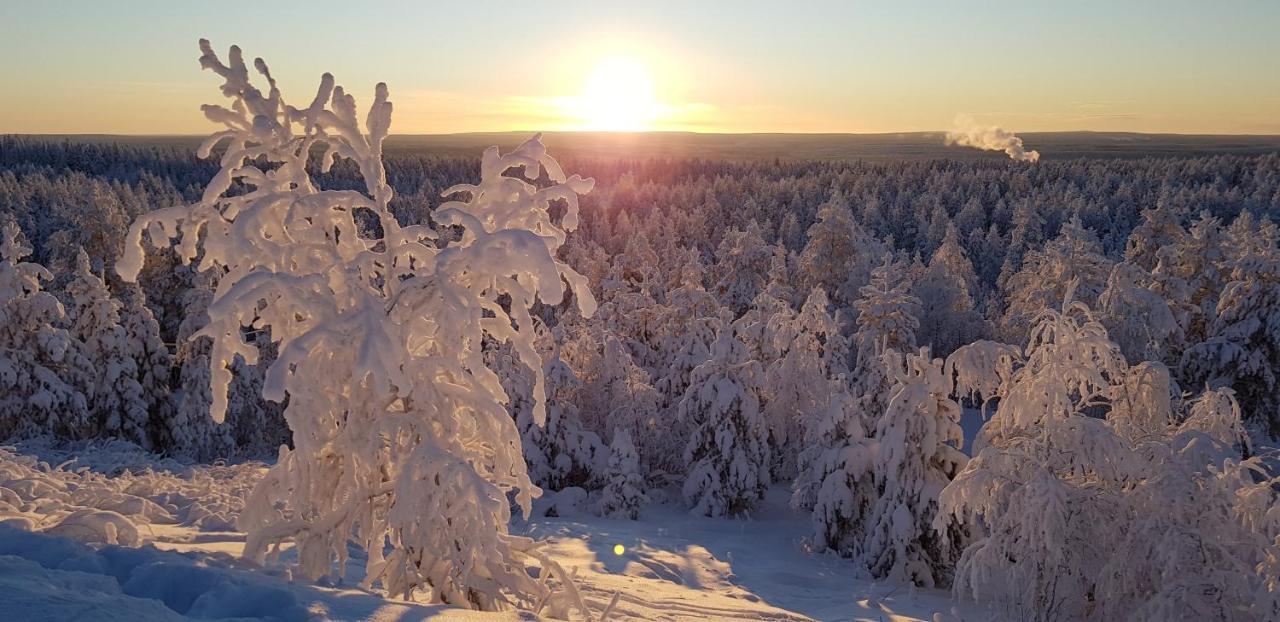 Villaski Rovaniemi Dış mekan fotoğraf