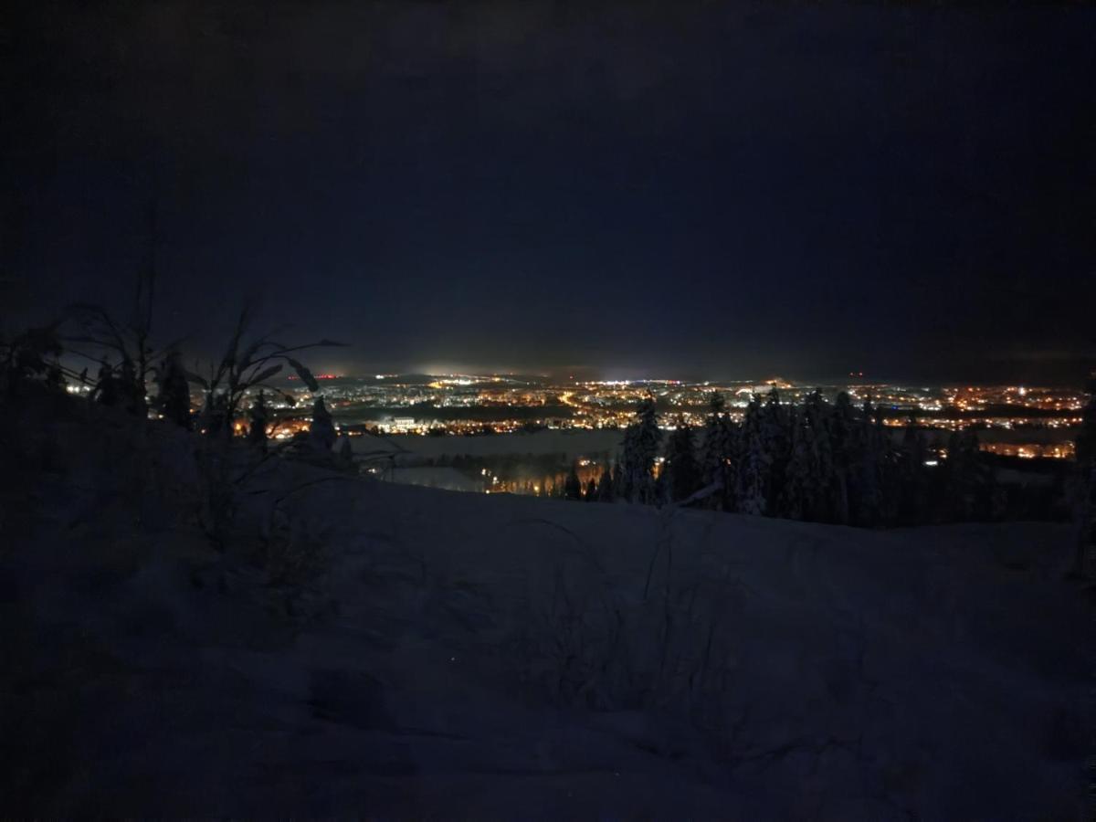 Villaski Rovaniemi Dış mekan fotoğraf